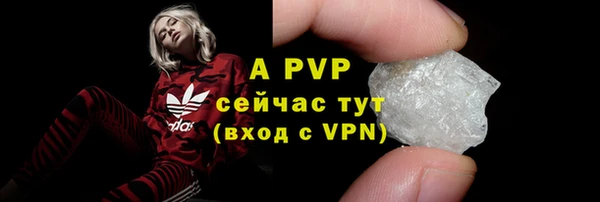 спиды Белая Холуница