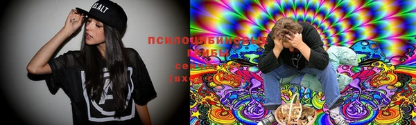 спайс Арсеньев