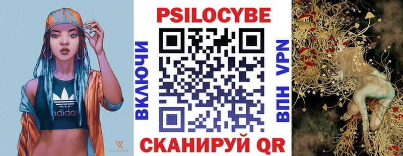Галлюциногенные грибы Psilocybe закладка Карабаш
